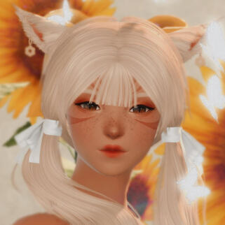 Commission - Makeup