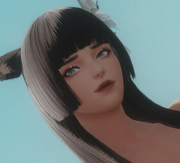 Domine - Brown Makeup